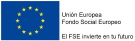 Logo FSE 135